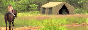 safari à cheval