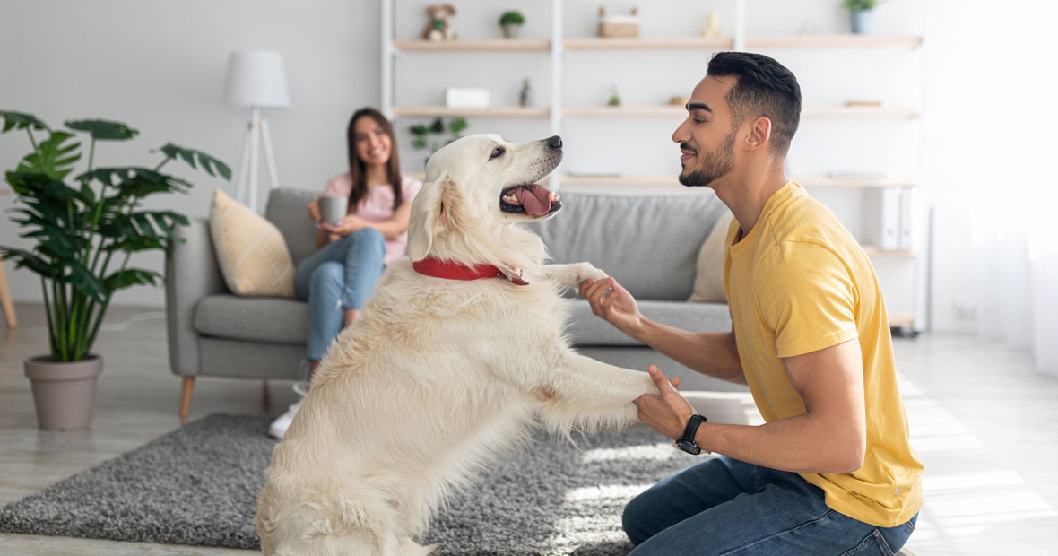 location de vacances avec son animal